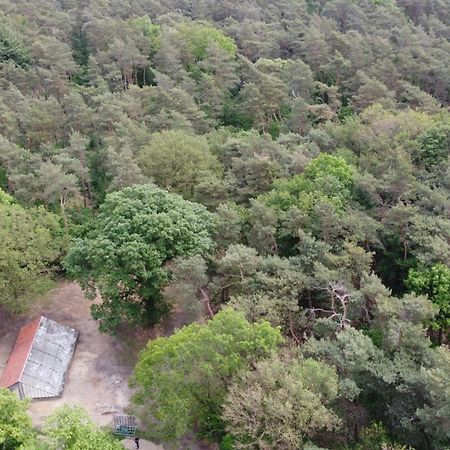 Lomm Natuurslaapkamer De Zaadeest Boskamer מראה חיצוני תמונה
