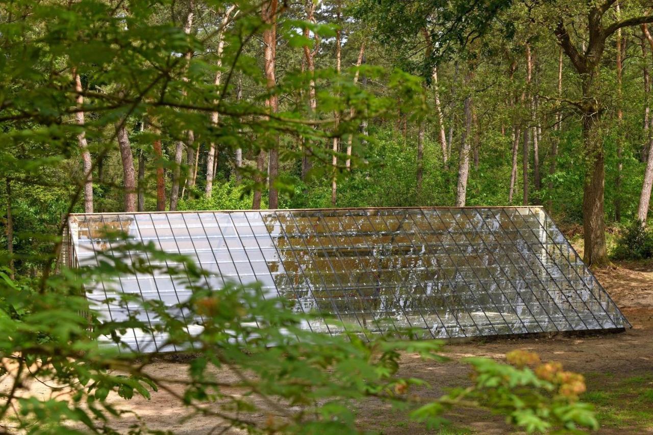 Lomm Natuurslaapkamer De Zaadeest Boskamer מראה חיצוני תמונה